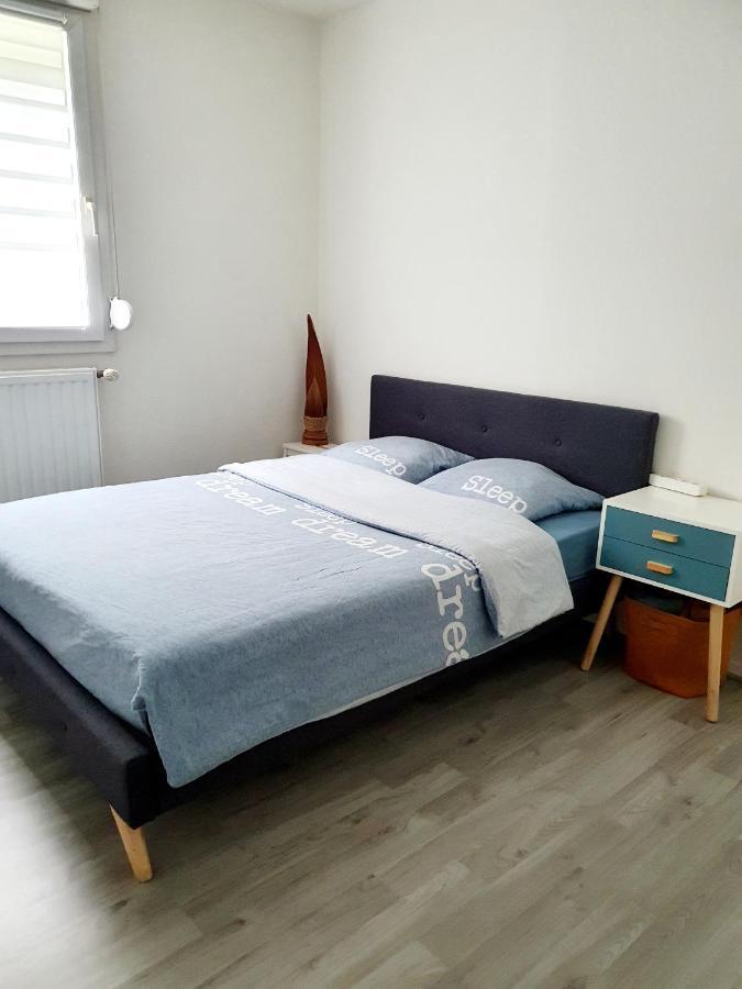 Bel Appartement Cosy ستراسبورغ المظهر الخارجي الصورة